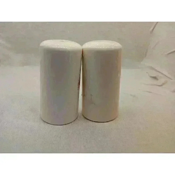 VINTAGE ST. AUGUSTINE FLORIDA SEA SOUVENIR SALT AND PEPPER SHAKERS COLLECTABLE - Picture 4 of 8